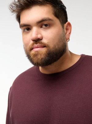 Мъжки пуловер обло деколте 